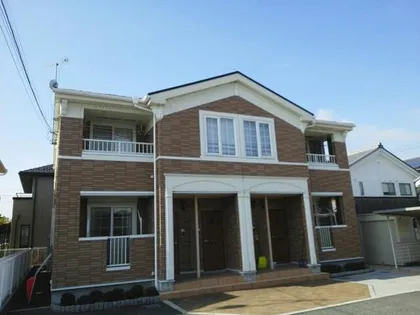 ノーチェの画像