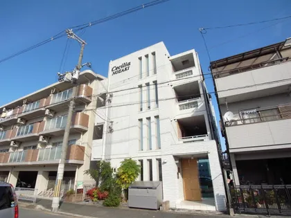 セシリア野崎の画像