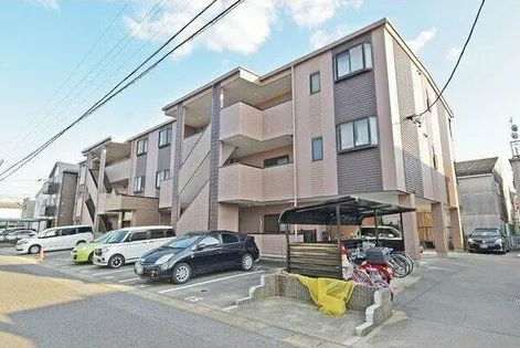 セントポーリア サウスの画像