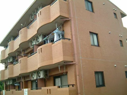 グリーンヒルイトウの画像