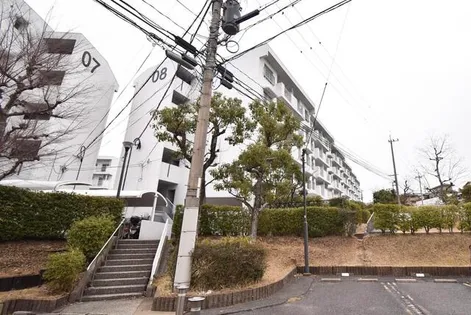 URもりつねの画像