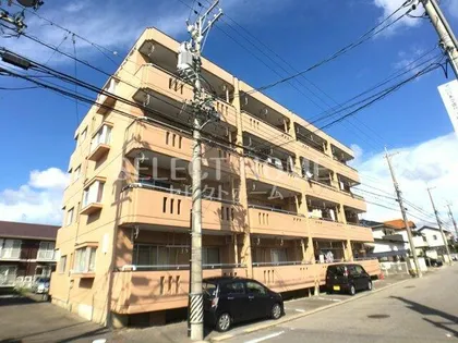 ラ ヴィ アン ローズF&Kの画像