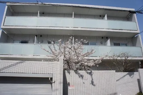 PETITーLANCYの画像