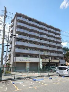 INFIELDHEIGHTSの画像