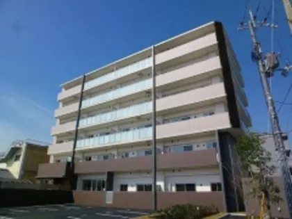 グラティの画像