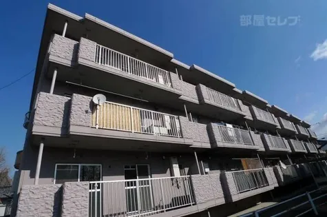 エストゥペンダの画像