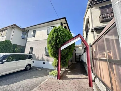 パナメゾンアオキの画像