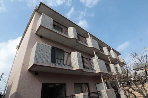 メゾン丸山【203号室】の外観