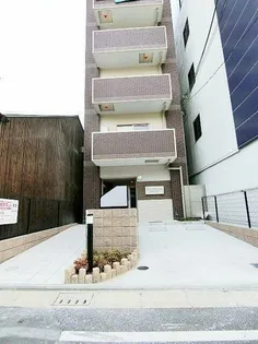 マウントック レアの画像