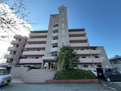 セルサス和泉の画像