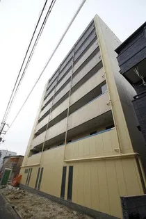 DAP正雀の画像