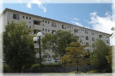 金剛第三住宅【5階】の外観