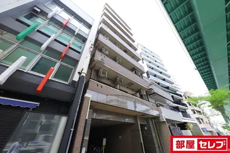 ヒルズ花の木の画像