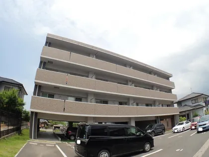 アムール瀬板の森の画像