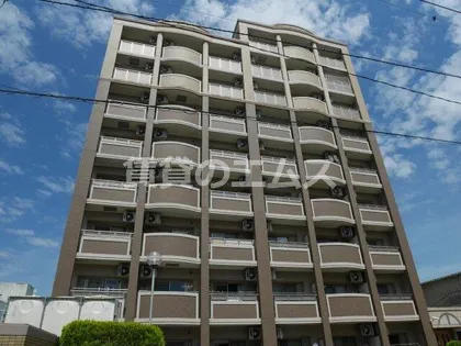 サニーサイドアップの画像