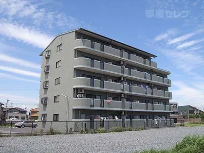 ポラールシュテルンの画像