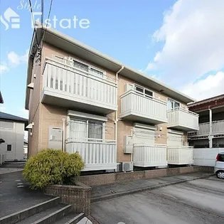 はなみずきの画像