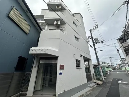 ケルンコトブキの画像