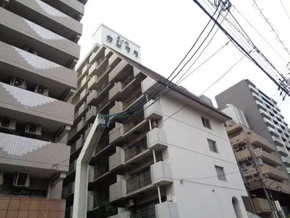 丸の内カジウラマンション【11階】の外観