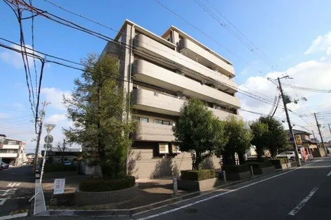 サンフィールドの画像