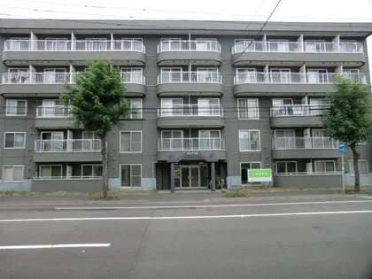 ピュア26の画像