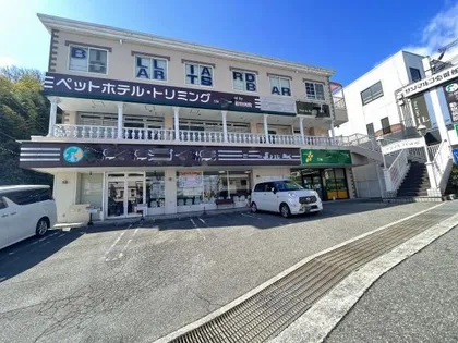 サンマルコ壱番館の画像