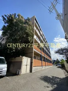 グランデシェチオ千本杉の画像