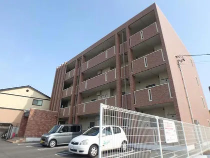 マートルの画像