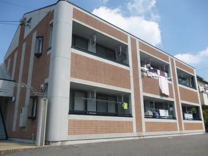 CHELINIの画像