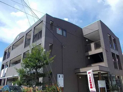 コモド ステラの画像