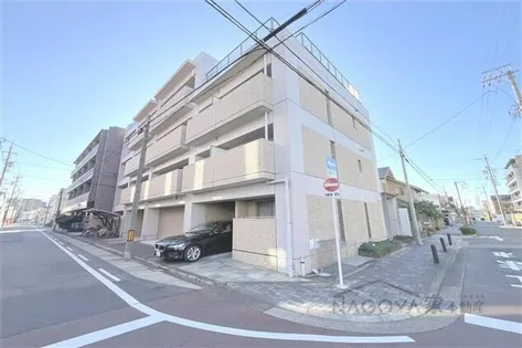 パルテールゴキソの画像