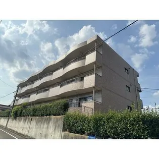 ロン エルブの画像