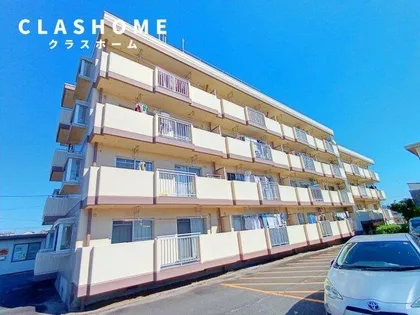 シャンピアの画像