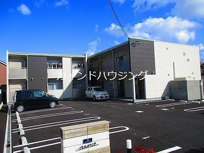 クレイノプルメリアの画像