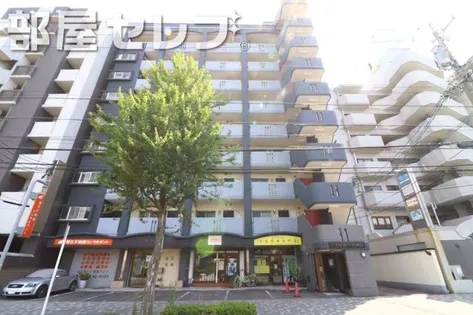シャンボール朝日の画像