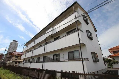 ハイツトビの画像