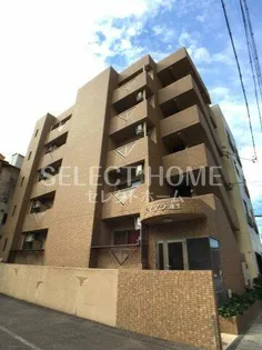 ティアラ康生の画像