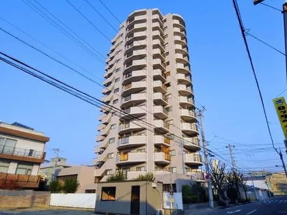 ドムール平野南の画像