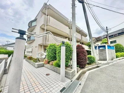 リビオ金剛の画像