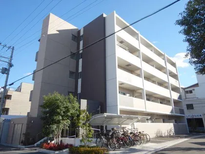 ロンド エーデルワイスの画像