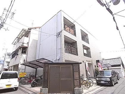 ワイエムカリヤの画像