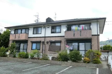 ハイカムール平田の画像