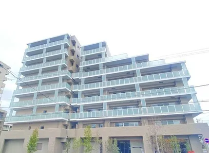 ジェイグラン羽衣の画像