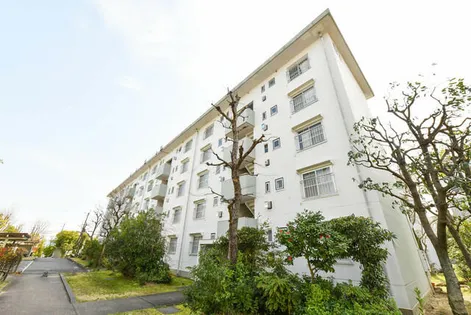 UR男山【D030405号室】の外観