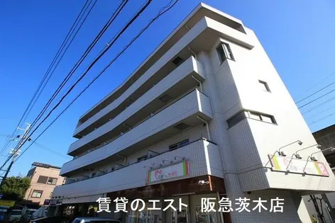 セラフィック IWTの画像