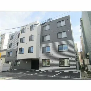 サクラN27の画像