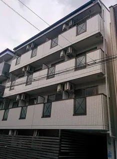パルMの画像