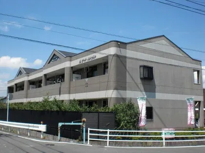 サザンクロスの画像