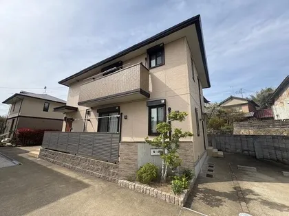 グレイスの画像