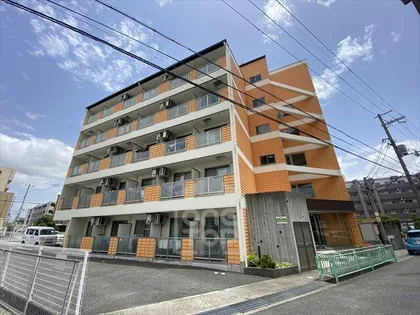 ドマーニの画像